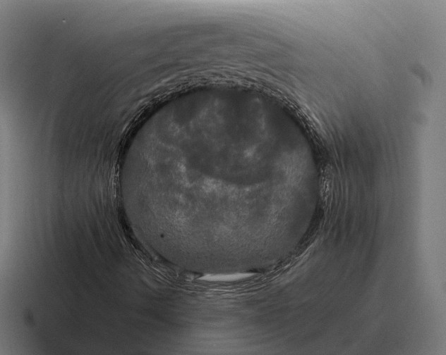 X0000116801490200912311926