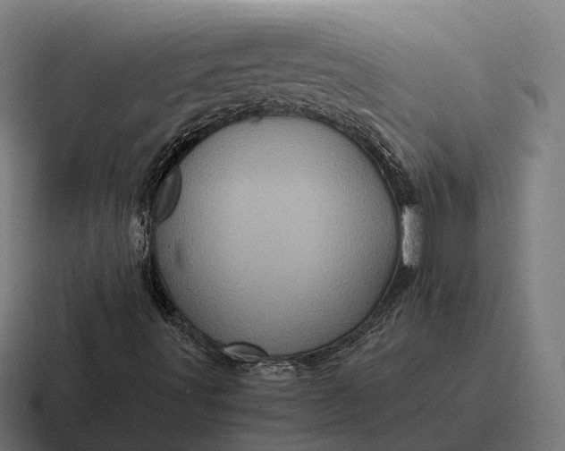 X0000116801491200912311926