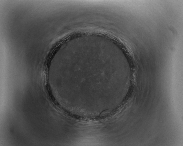 X0000116801493200912311926