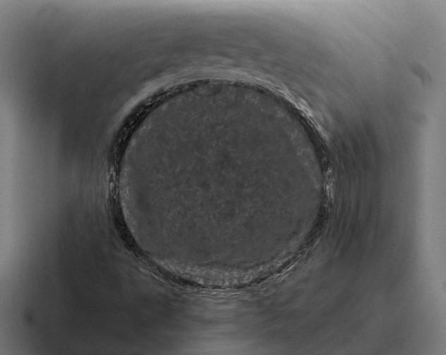 X0000116801495200912311926