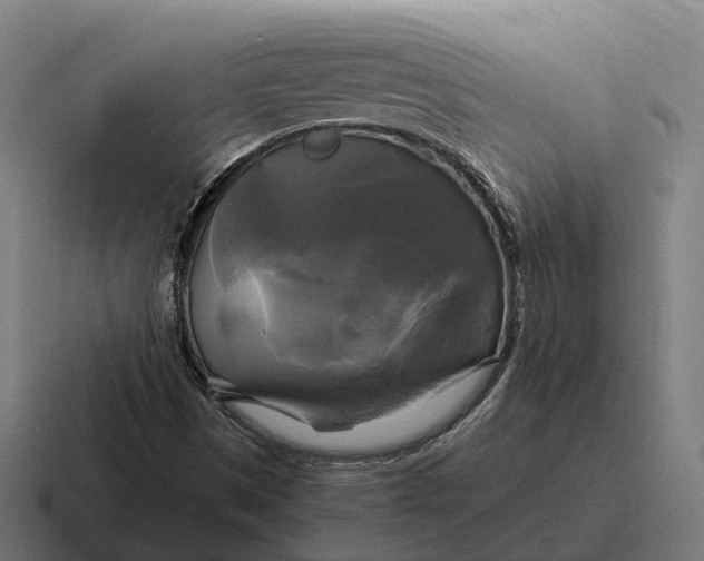 X0000116801497200912311926