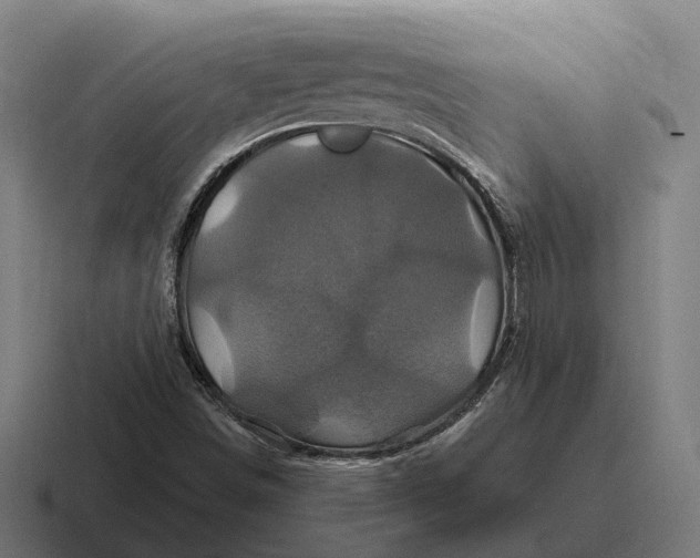 X0000116801498200912311926