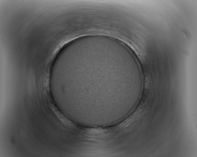 X0000116801499200912311926