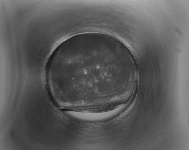 X0000116801501200912311926