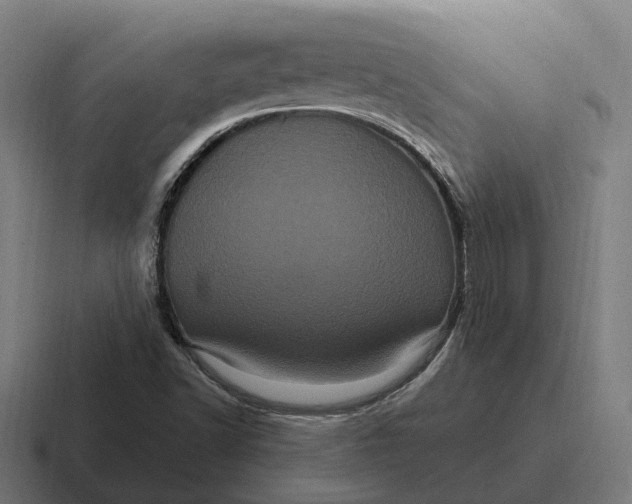 X0000116801502200912311926