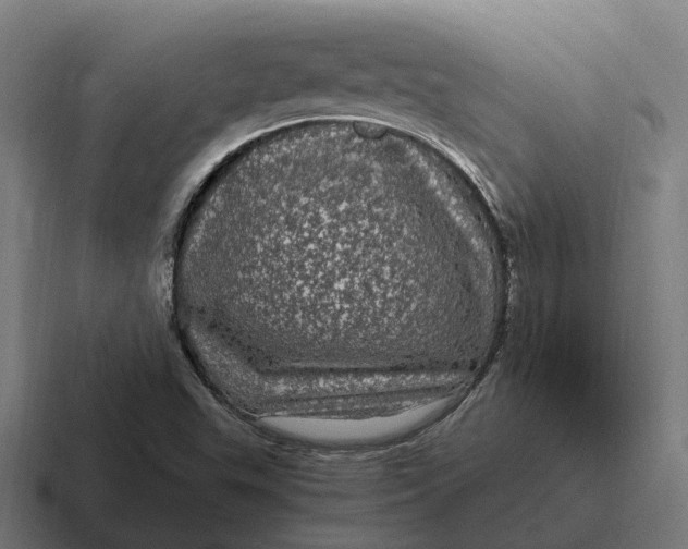 X0000116801503200912311926