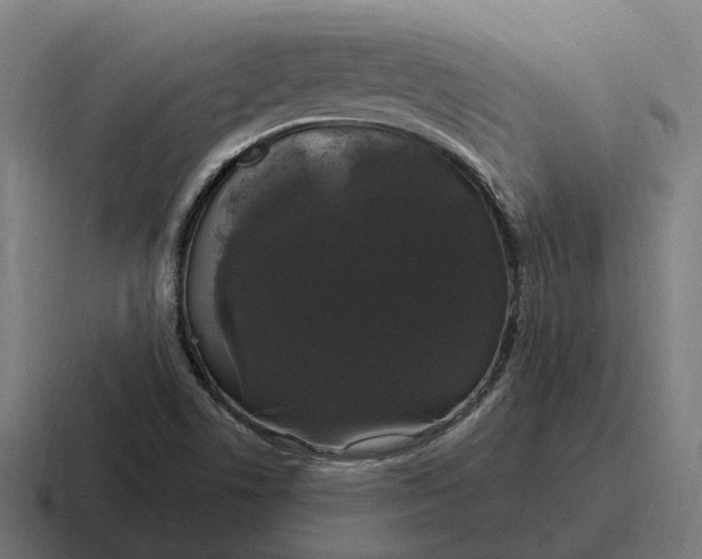 X0000116801506200912311926