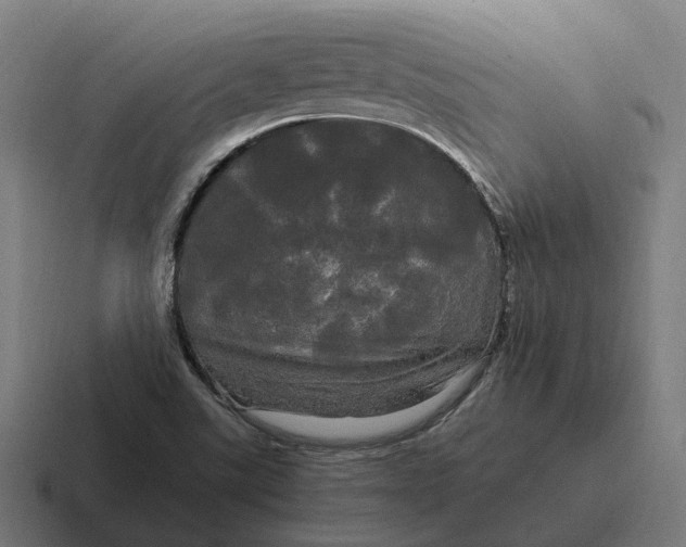 X0000116801507200912311926