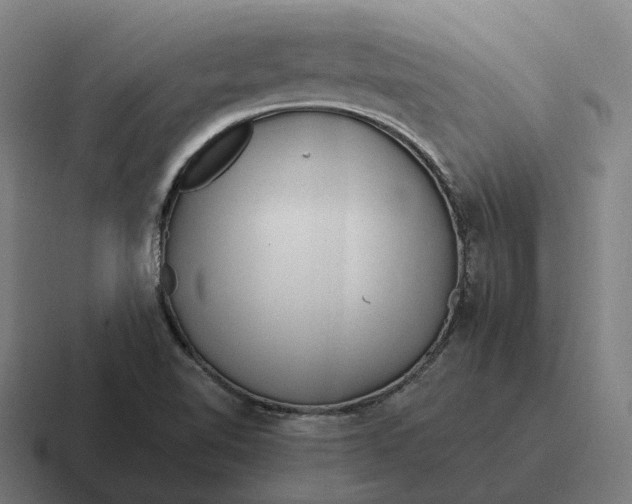 X0000116801510200912311926