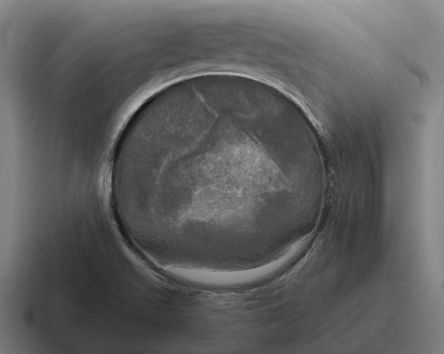 X0000116801511200912311926