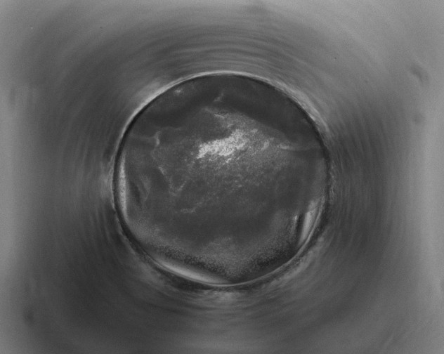 X0000116801513200912311926