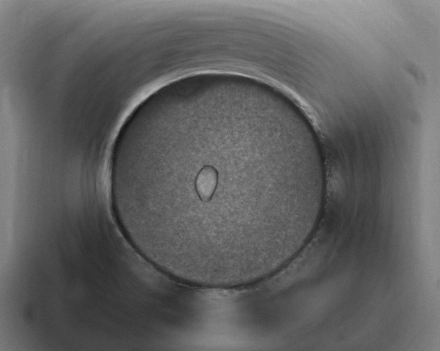 X0000116801514200912311926