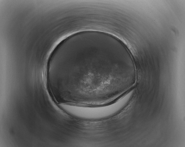 X0000116801515200912311926