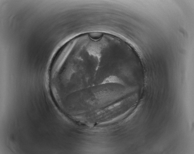 X0000116801517200912311926