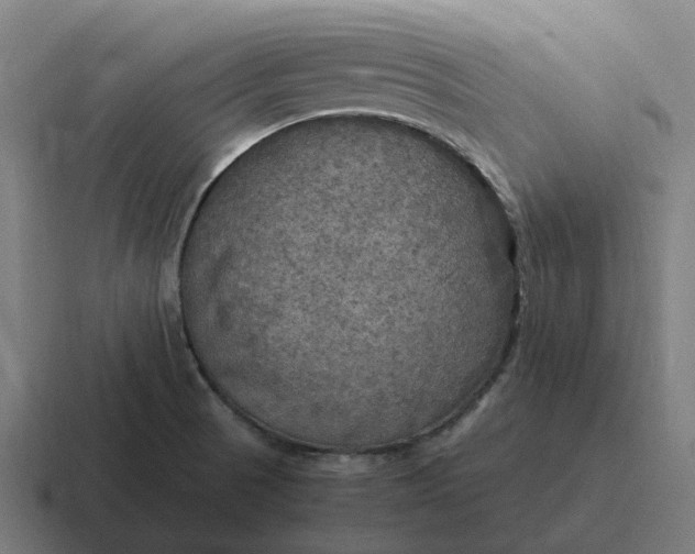 X0000116801521200912311926