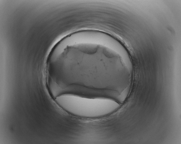 X0000116801522200912311926