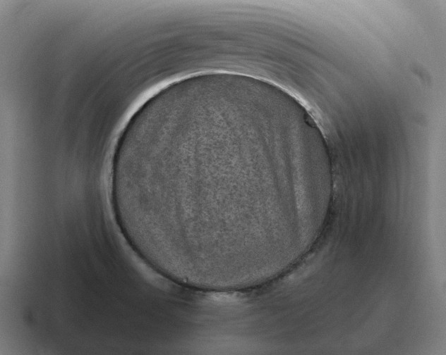 X0000116801523200912311926