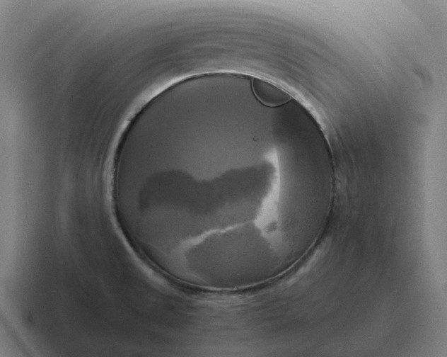 X0000116801525200912311926