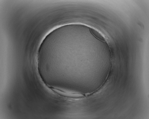 X0000116801526200912311926