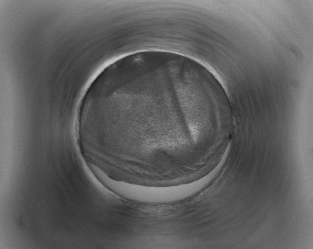 X0000116801531200912311926