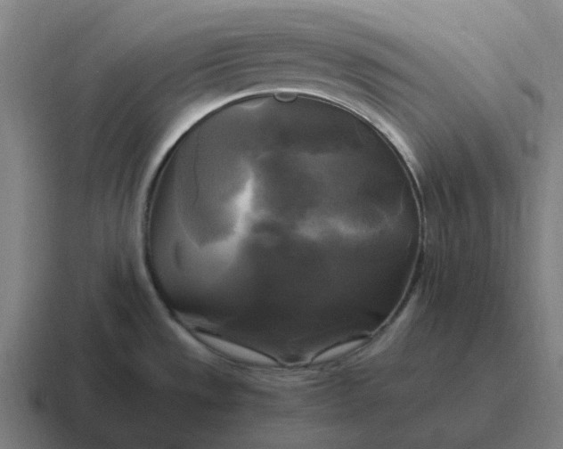 X0000116801533200912311926