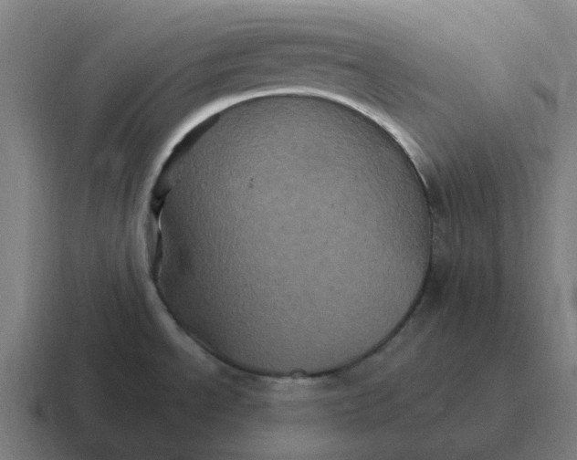 X0000116801534200912311926