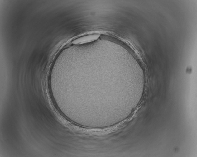 X0000116800001201001081344