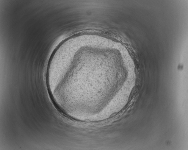 X0000116800003201001081344