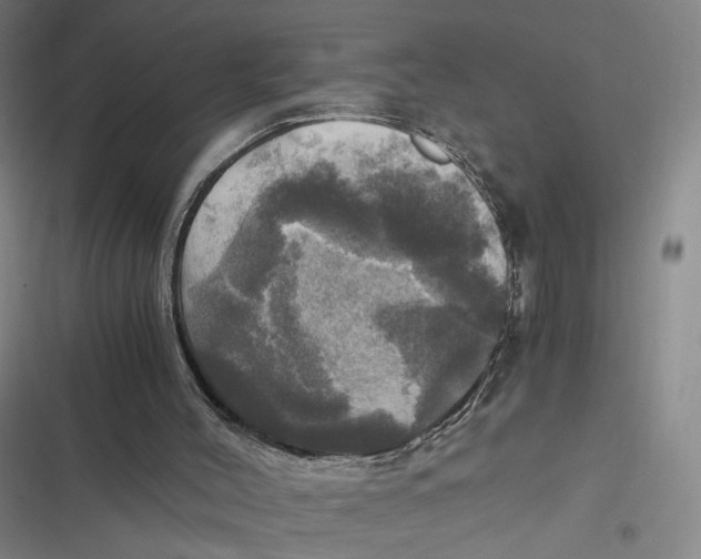 X0000116800004201001081344