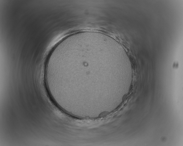 X0000116800005201001081344