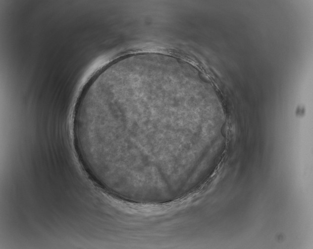 X0000116800006201001081344