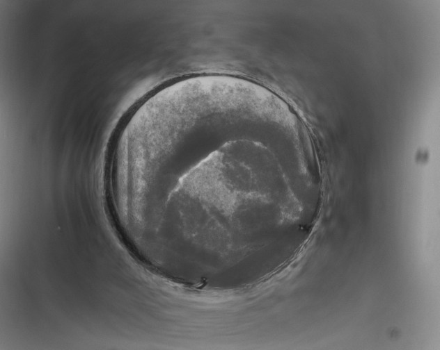 X0000116800008201001081344