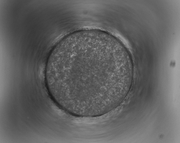 X0000116800009201001081344