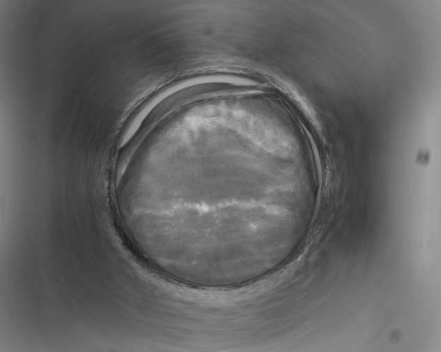 X0000116800010201001081344
