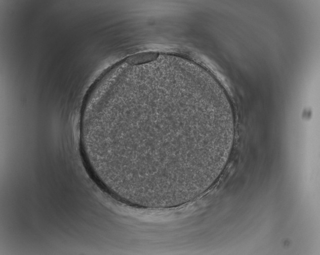 X0000116800011201001081344