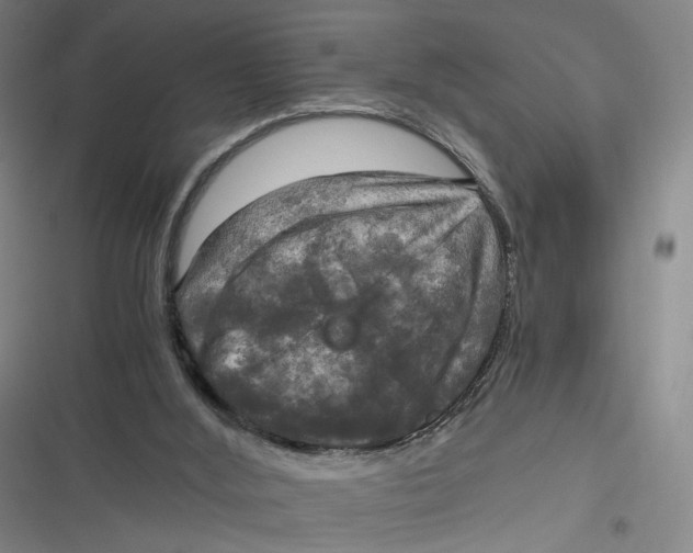 X0000116800012201001081344