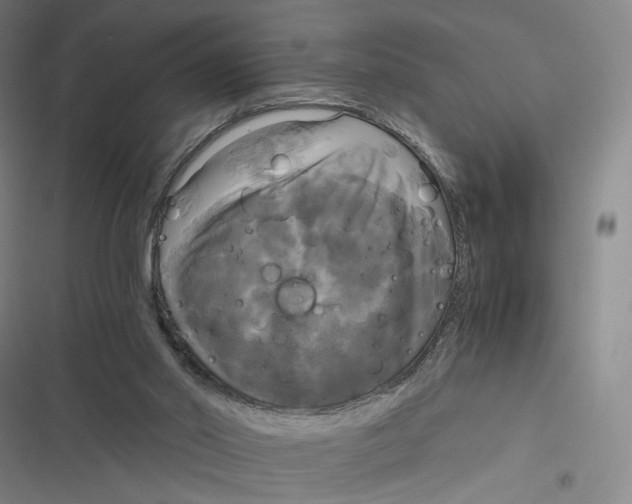 X0000116800014201001081344