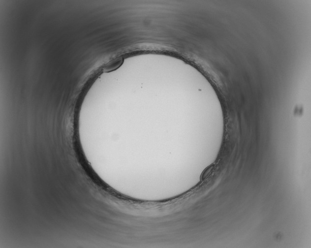 X0000116800015201001081344
