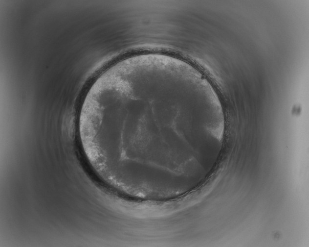 X0000116800016201001081344