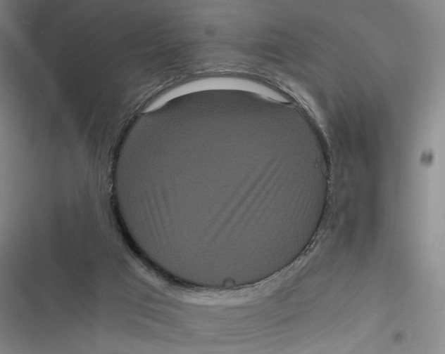X0000116800017201001081344
