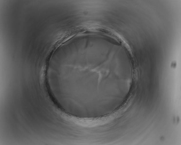 X0000116800018201001081344