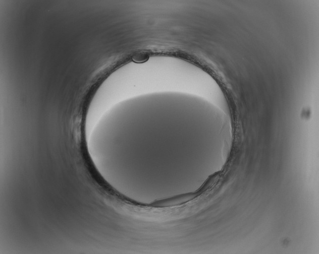 X0000116800019201001081344