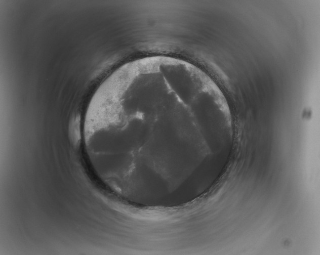 X0000116800020201001081344