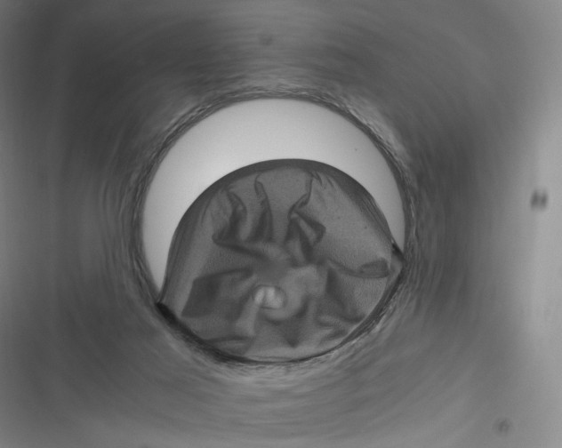 X0000116800021201001081344