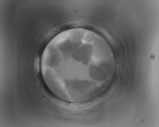 X0000116800022201001081344