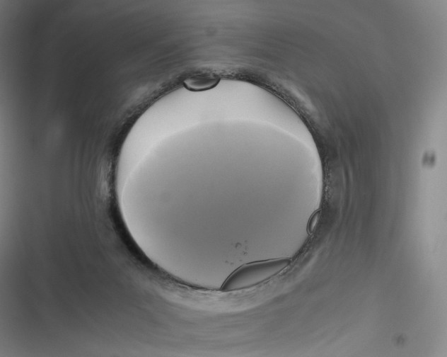 X0000116800023201001081344
