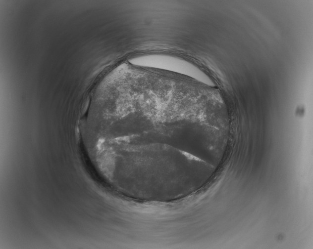 X0000116800024201001081344