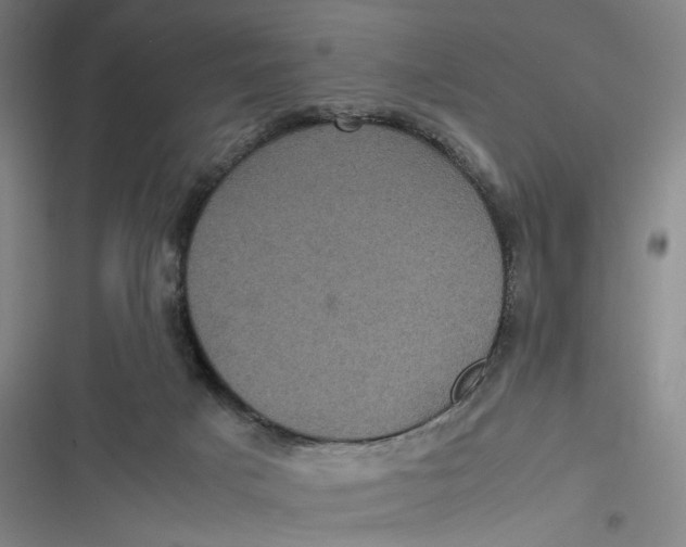 X0000116800025201001081344