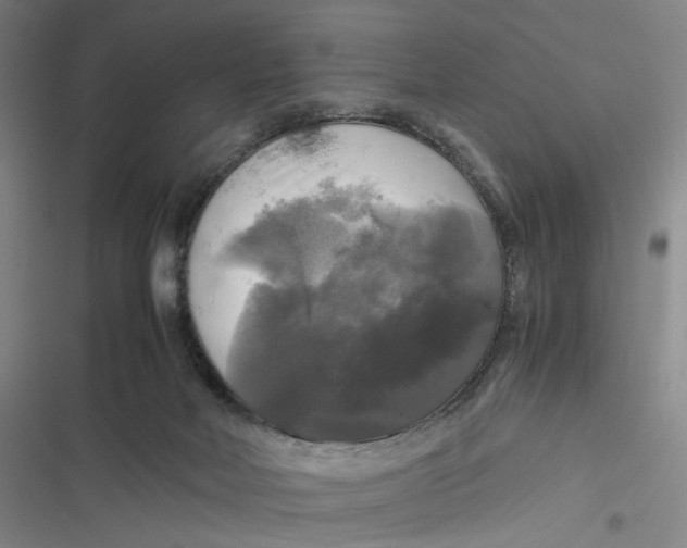 X0000116800026201001081344