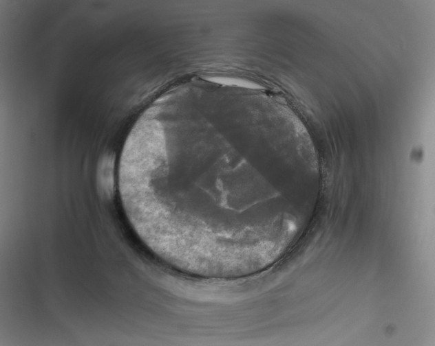 X0000116800028201001081344